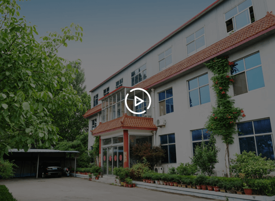 Qingdao Huamao Evergreen Industrial Co.,Ltd company overview - view 1