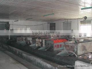 Shouguang Bilong Vegetable Fruit Co., Ltd. company overview - view 4