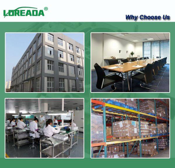 Loreada Auto Parts Co., Ltd company overview - view 3