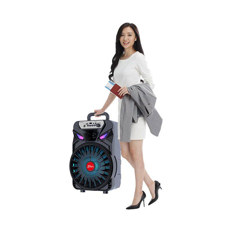 ZQS8167 sell well subwoofer 20W power single 8 inch speaker wireless bass sound bluetooth speaker