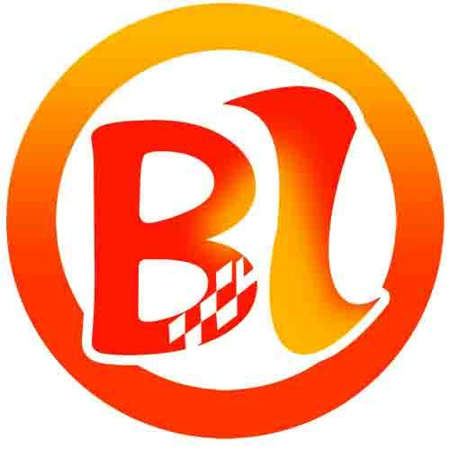 Shenzhen BL Photoelectric Technology Co., Ltd. company overview - view 1