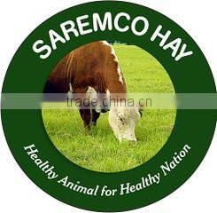 Saremco International company overview - view 3