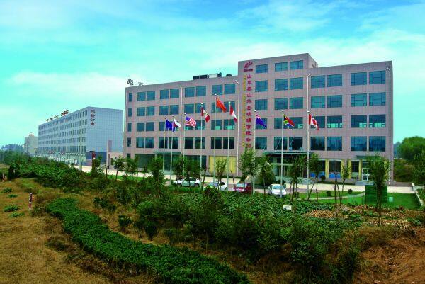 Shandong Taishan Huayue Glass Ltd company overview - view 1