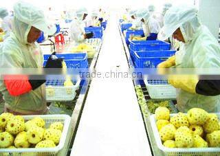 Zhangzhou Wangui Agriculture Development Co., Ltd. company overview - view 2