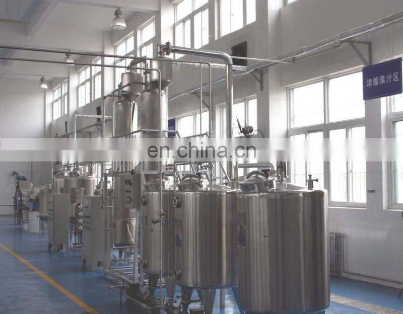 shanghai genyond Industrial Mango juice machine