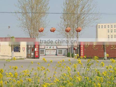 Caoxian Zhongyi Wooden Co., Ltd. company overview - view 1