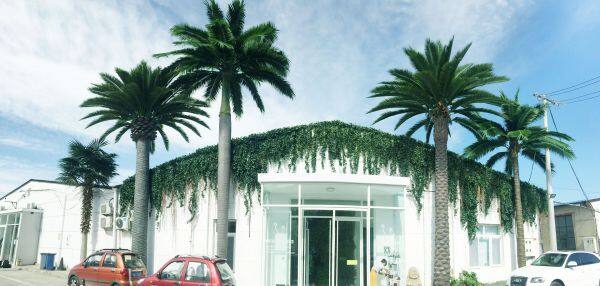 Beijing Palm International Group Ltd. company overview - view 1