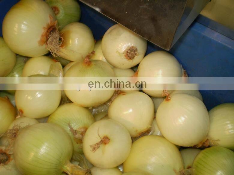 Automatic Onion peeling and root cutting machine
