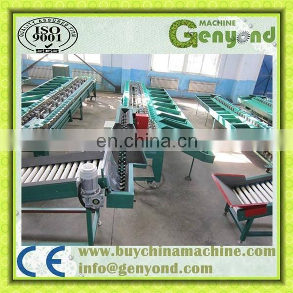 Tomato grading machine for easy operation