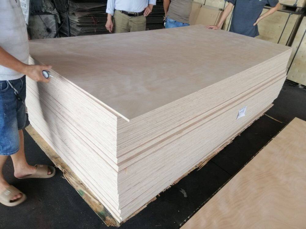 433201327_1065740624726486_339561583689501366_n