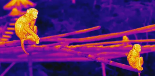Long Range Thermal Camera: How Far Can Thermal Cameras See?
