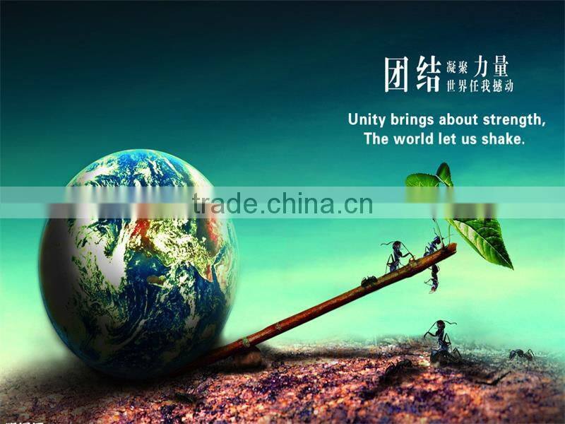 Taian Fengni Industrial & Trade Co., Ltd. company overview - view 3