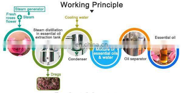 Lavender lemon agarwood essential oil steam extraction distillation machine rose date essential oil distiller