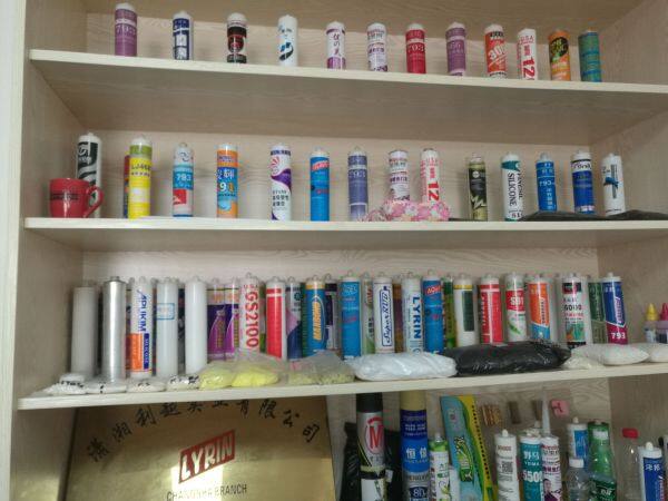 Lyrin Industrial Corporation Limited company overview - view 2