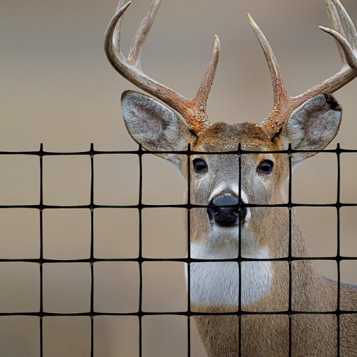 invisible deer fence (4)