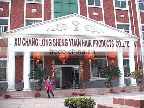 Xuchang Longshengyuan Hair Products Co., Ltd. company overview - view 1