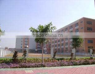 Dingxing Very Trade Co., Ltd. company overview - view 1