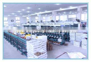 Hubei Bingdong Trading Co., Ltd. company overview - view 2