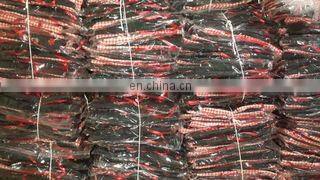 Bright Trachten Industries company overview - view 3