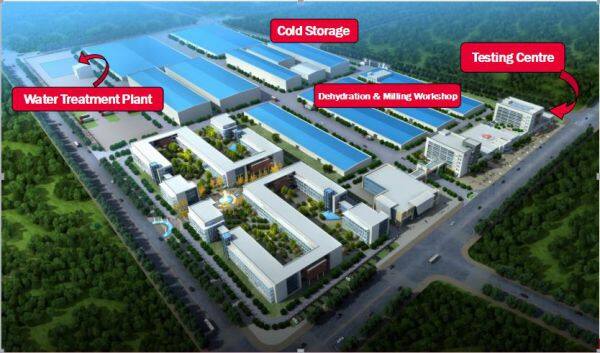 Qingdao Manhang International Trade Co.,Ltd company overview - view 4