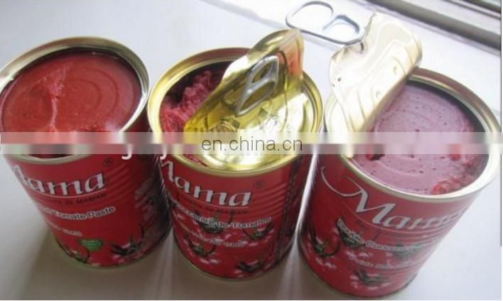 Tomato sauce production line/equipment