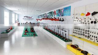Linyi Dingyi Power Machinery Co., Ltd. company overview - view 1