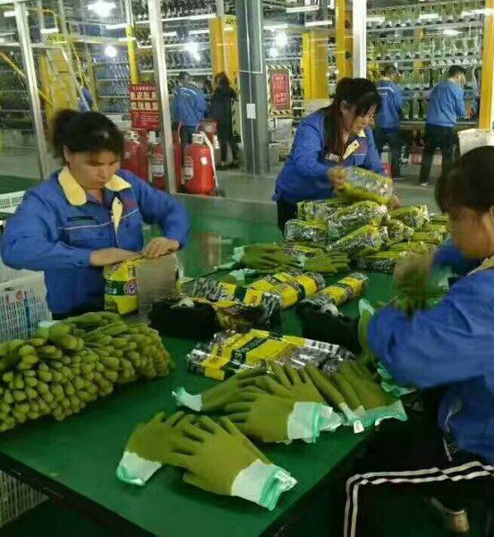 Qingdao Everpro Safety Product Co., Ltd company overview - view 4