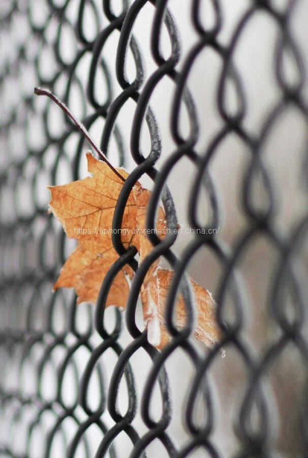 1a4d9078e0db19783666f1c78eb8cbed54794900