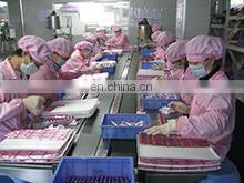 Shantou Chenghai Hua Nuo Toys Factory company overview - view 3