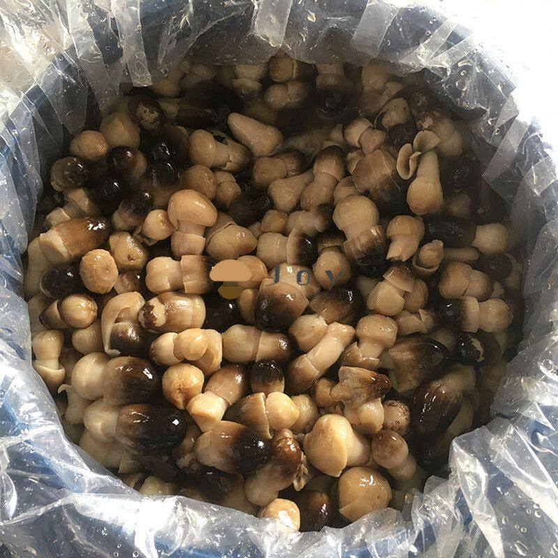 Peeled straw mushroom in brine