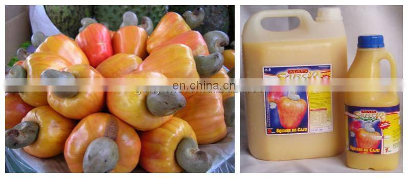 Complete cashew apple juice production line / cashew apple processing machine