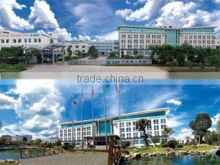 Zhejiang Chaozhong Industrial Co., Ltd. company overview - view 1