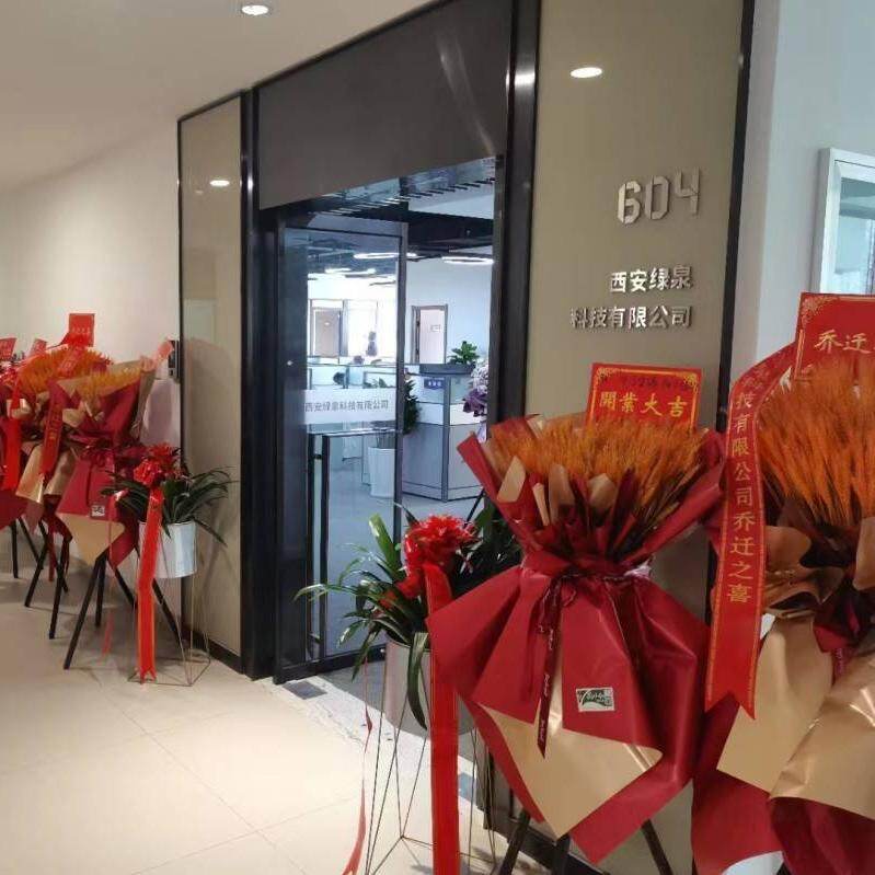 Green Spring Technology company overview - view 1