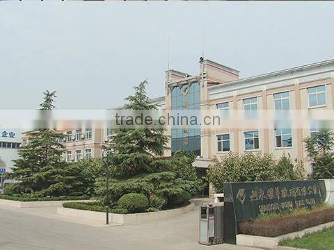 Shandong Yaohua Glass Co., Ltd. company overview - view 1