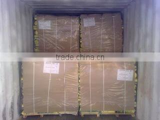 Rama Gum Industries (india) Limited company overview - view 3