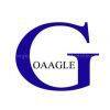 Hongkong Goaagle Limited company overview - view 1