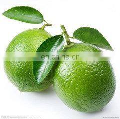 kumquat/orange/lemon fruit washing waxing drying sorting machine, fruit farm equiment orange