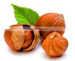 full automatic argania spinosa/argan oil/fat/grease extractor/extracting machines