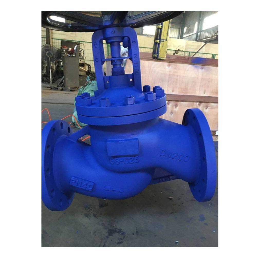 bellows globe valve-05