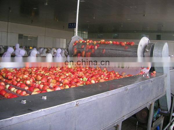 Automatic canned sweet strawberry processing plant / strawberry in syrup production line
