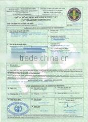Green World Import Export Co.,ltd company overview - view 3