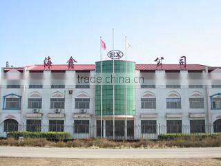 Cangzhou Haixin Pipe Fittings Manufacture Co., Ltd. company overview - view 2