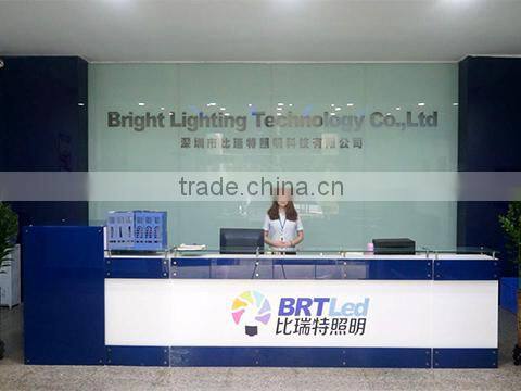 Shenzhen Bright Lighting Technology Co., Ltd. company overview - view 1