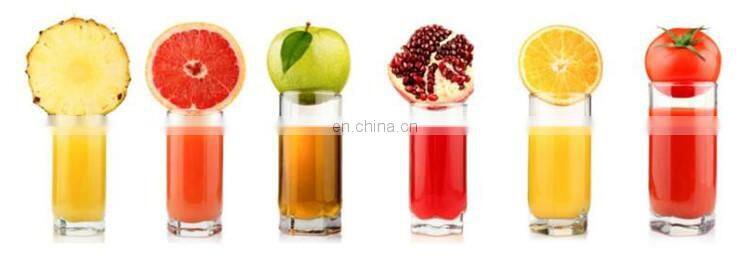 Industrial fruit juice processing line