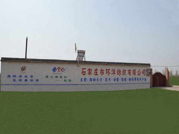 Shijiazhuang Huanyang Textile Co., Ltd. company overview - view 1
