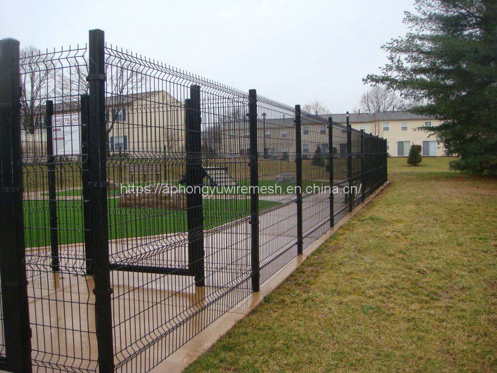 54519252_10157217725262458_6406061021835821056_n