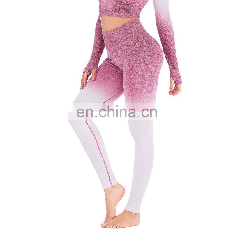 Hot selling sportswear seamless women tights leggings