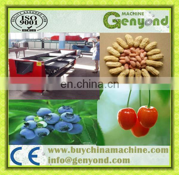 Date palm sorting and cleaning machine/sorting system