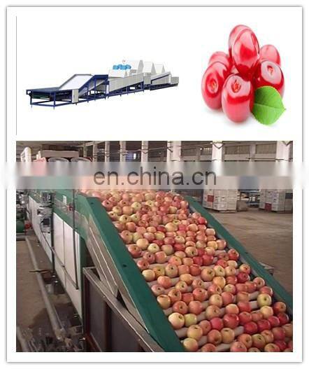 kumquat/orange/lemon fruit washing waxing drying sorting machine, fruit farm equiment orange