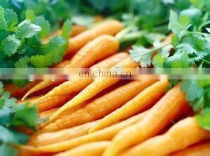 new commercial vegetable slicer dicer &vegetable cutter